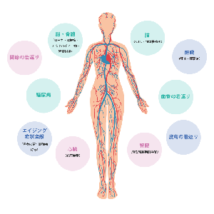 更年期障碍(衰老)干细胞疗法
