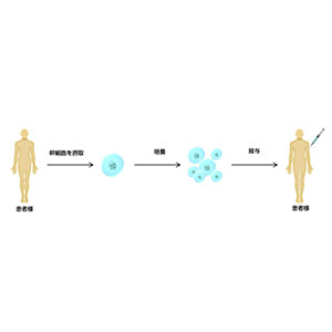 动脉硬化干细胞疗法-2
