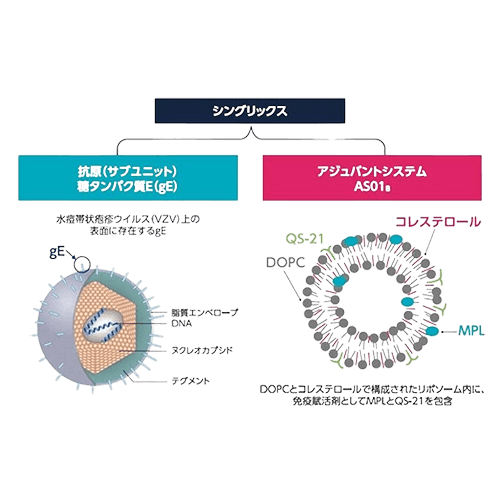 带状疱疹疫(Shingrix®)2