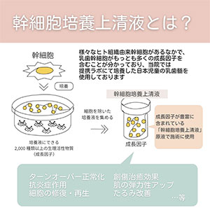 面部干细胞培养上清液-2